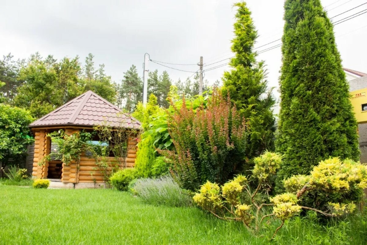 https://samara.tgv-stroy.ru/storage/app/uploads/public/637/ef4/fb3/637ef4fb3605f391429275.png